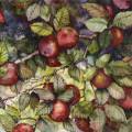 pommes0118-1.jpg (4627 octets)