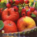 pommes0120-1.jpg (3948 octets)