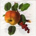 pommes0128-1.jpg (3462 octets)