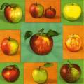 pommes0129-1.jpg (3619 octets)