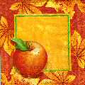 pommes0131-1.jpg (4101 octets)