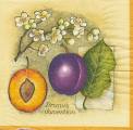 prunes0002-1.jpg (3670 octets)