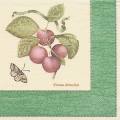 prunes0004-1.jpg (2999 octets)