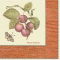 prunes0004-2.jpg (3317 octets)