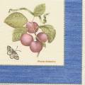 prunes0004-3.jpg (3061 octets)