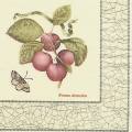 prunes0004-4.jpg (3547 octets)