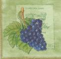 raisin0001-1a.jpg (3014 octets)