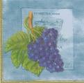 raisin0001-2a.jpg (2854 octets)