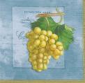 raisin0001-2c.jpg (3110 octets)