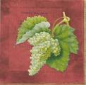 raisin0001-3b.jpg (3123 octets)
