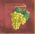 raisin0001-3c.jpg (2957 octets)
