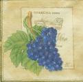 raisin0001-4a.jpg (3032 octets)