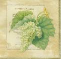 raisin0001-4b.jpg (3076 octets)