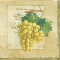 raisin0001-4c.jpg (2788 octets)