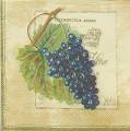 raisin0001-4d.jpg (3195 octets)