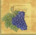 raisin0001a.jpg (2927 octets)