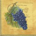 raisin0001d.jpg (3276 octets)