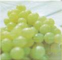 raisin0002.jpg (2443 octets)