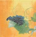 raisin0005-3a.jpg (2564 octets)
