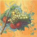 raisin0005-3b.jpg (3284 octets)