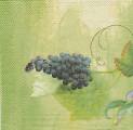raisin0005-4a.jpg (2554 octets)