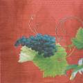raisin0005-6b.jpg (2535 octets)