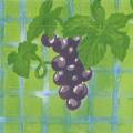raisin0006c.jpg (2946 octets)