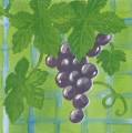 raisin0006d.jpg (3157 octets)