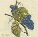 raisin0008.jpg (3417 octets)