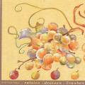 raisin0014a.JPG (3636 octets)