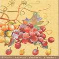 raisin0014b.JPG (3876 octets)