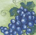 raisin0015-1.JPG (3959 octets)