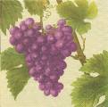 raisin0016-2b.JPG (3442 octets)