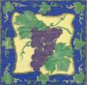 raisin0018-2.JPG (4240 octets)