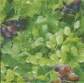 raisin0020-1d.JPG (3982 octets)