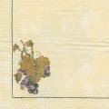 raisin0024-1a.JPG (2033 octets)