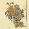 raisin0024-1b.JPG (3220 octets)
