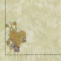 raisin0024-2a.JPG (2281 octets)