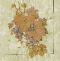 raisin0024-2b.JPG (2927 octets)