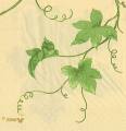 raisin0033-1a.JPG (2676 octets)