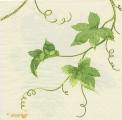 raisin0033-2a.JPG (2801 octets)