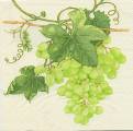 raisin0033-2b.JPG (3295 octets)