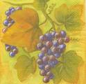 raisin0038-1.JPG (3284 octets)