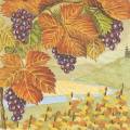 raisin0039-1.JPG (4242 octets)