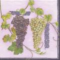 raisin0041-1.jpg (3883 octets)