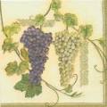 raisin0041-3.jpg (3406 octets)