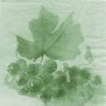 raisin0042-1.jpg (2248 octets)