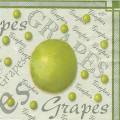 raisin0044-1d.jpg (3639 octets)