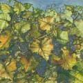 raisin0045-1.jpg (4403 octets)