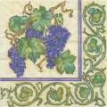 raisin0046-1.jpg (4751 octets)